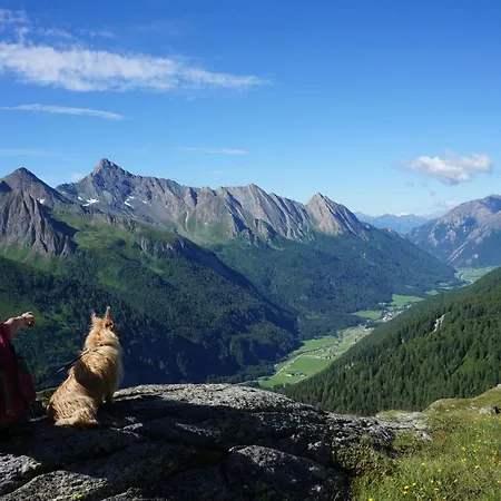 Hanna Apartment Ramsau im Zillertal
